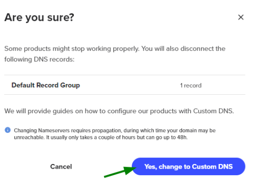Custom nameservers option selected