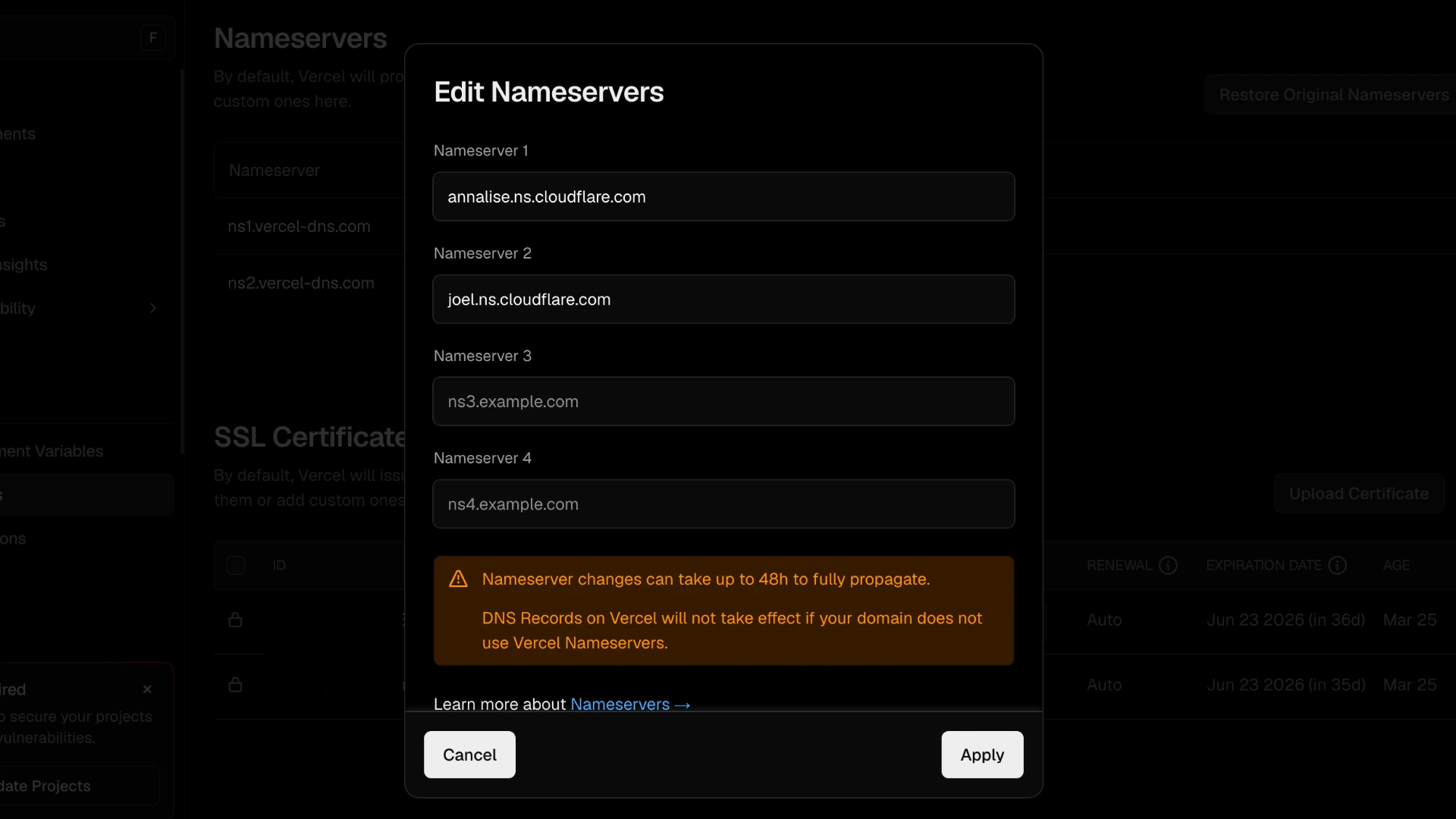Entering custom nameservers in Vercel
